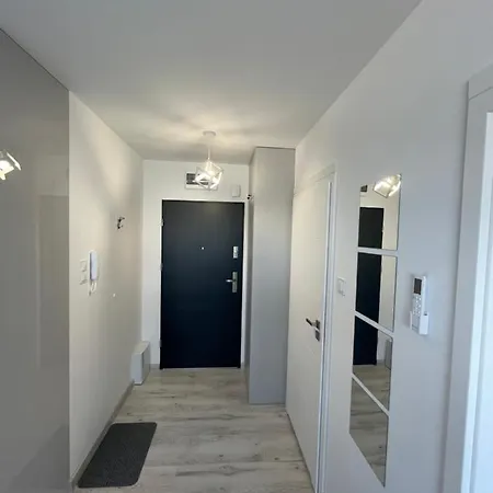 N° 60 *